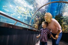 Ζωή θάλασσας προσοχής μητέρων και γιων στο oceanarium στοκ φωτογραφία με δικαίωμα ελεύθερης χρήσης Ζωή θάλασσας προσοχής μητέρων και γιων στο oceanarium στοκ φωτογραφία με δικαίωμα ελεύθερης χρήσης