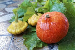 Ζωή φθινοπώρου ακόμα της κολοκύθας και της pattypan κολοκύνθης στο πράσινο υπόβαθρο φύλλων στοκ φωτογραφία με δικαίωμα ελεύθερης χρήσης Ζωή φθινοπώρου ακόμα της κολοκύθας και της pattypan κολοκύνθης στο πράσινο υπόβαθρο φύλλων στοκ φωτογραφία με δικαίωμα ελεύθερης χρήσης