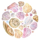 Ζωηρόχρωμα κοχύλια watercolor στη στρογγυλή σύνθεση ελεύθερη απεικόνιση δικαιώματος Ζωηρόχρωμα κοχύλια watercolor στη στρογγυλή σύνθεση ελεύθερη απεικόνιση δικαιώματος