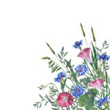 Ζωηρόχρωμες λουλούδια και χλόη άνοιξη σε ένα λιβάδι διανυσματική απεικόνιση Ζωηρόχρωμες λουλούδια και χλόη άνοιξη σε ένα λιβάδι διανυσματική απεικόνιση