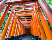 Η λάρνακα Fushimi Inari στο Κιότο στοκ φωτογραφίες με δικαίωμα ελεύθερης χρήσης Η λάρνακα Fushimi Inari στο Κιότο στοκ φωτογραφίες με δικαίωμα ελεύθερης χρήσης