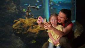 Η ευτυχείς μητέρα και η κόρη παίρνουν Selfie Το ενυδρείο με τα ψάρια είναι στο υπόβαθρο Έχουν πολλή διασκέδαση αυτή η μητέρα ` s απόθεμα βίντεο Η ευτυχείς μητέρα και η κόρη παίρνουν Selfie Το ενυδρείο με τα ψάρια είναι στο υπόβαθρο Έχουν πολλή διασκέδαση αυτή η μητέρα ` s απόθεμα βίντεο