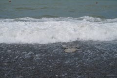 Η θάλασσα και η παραλία στο Sochi στοκ φωτογραφίες Η θάλασσα και η παραλία στο Sochi στοκ φωτογραφίες