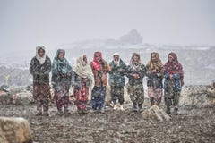 Ηλικιωμένες κυρίες στη μέση των ζώων αναμονής χιονιού για να επιστρέψει από το λιβάδι στοκ εικόνες με δικαίωμα ελεύθερης χρήσης Ηλικιωμένες κυρίες στη μέση των ζώων αναμονής χιονιού για να επιστρέψει από το λιβάδι στοκ εικόνες με δικαίωμα ελεύθερης χρήσης