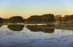 Ηλιοβασίλεμα σε Pantanal στοκ φωτογραφία Ηλιοβασίλεμα σε Pantanal στοκ φωτογραφία