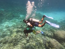 Η κατάδυση των ανθρώπων υποβρύχιων στη θάλασσα με τα κοράλλια και τα ψάρια γύρω, δύτης σκαφάνδρων ανοικτός ποτίζει τη σειρά μαθημ στοκ εικόνες με δικαίωμα ελεύθερης χρήσης Η κατάδυση των ανθρώπων υποβρύχιων στη θάλασσα με τα κοράλλια και τα ψάρια γύρω, δύτης σκαφάνδρων ανοικτός ποτίζει τη σειρά μαθημ στοκ εικόνες με δικαίωμα ελεύθερης χρήσης
