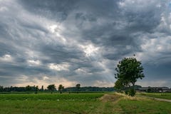 Η καταιγίδα με τα sunrays που λάμπουν μέσω των asperitas altocumulus καλύπτει πέρα από την επαρχία κοντά σε Wuustwezel Βέλγιο, κο στοκ φωτογραφία με δικαίωμα ελεύθερης χρήσης Η καταιγίδα με τα sunrays που λάμπουν μέσω των asperitas altocumulus καλύπτει πέρα από την επαρχία κοντά σε Wuustwezel Βέλγιο, κο στοκ φωτογραφία με δικαίωμα ελεύθερης χρήσης