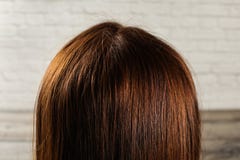 Η λεπτομέρεια στη φυσική σκοτεινή καφετιά τρίχα γυναικών βλέπει από πίσω στοκ εικόνες Η λεπτομέρεια στη φυσική σκοτεινή καφετιά τρίχα γυναικών βλέπει από πίσω στοκ εικόνες