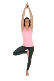Η νέα γυναίκα που κάνει το δέντρο asana γιόγκας θέτει ή Vrksasana στοκ εικόνα με δικαίωμα ελεύθερης χρήσης Η νέα γυναίκα που κάνει το δέντρο asana γιόγκας θέτει ή Vrksasana στοκ εικόνα με δικαίωμα ελεύθερης χρήσης