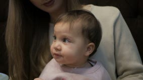 Η νέα μητέρα ταΐζει ένα μικρό κορίτσι με ένα τυρί Suluguni απόθεμα βίντεο Η νέα μητέρα ταΐζει ένα μικρό κορίτσι με ένα τυρί Suluguni απόθεμα βίντεο