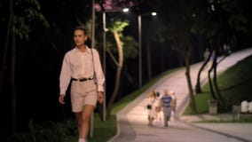 Η νέα σύγχρονη γυναίκα περπατά κάτω από την οδό στο πάρκο και προσέχει γύρω από τη νύχτα απόθεμα βίντεο Η νέα σύγχρονη γυναίκα περπατά κάτω από την οδό στο πάρκο και προσέχει γύρω από τη νύχτα απόθεμα βίντεο