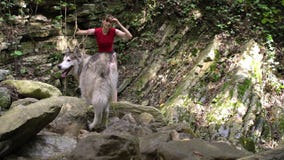 Η νέα όμορφη ξυπόλυτη γυναίκα με το σκυλί malamute περπατά στο ξύλο βουνών στον ποταμό φιλμ μικρού μήκους Η νέα όμορφη ξυπόλυτη γυναίκα με το σκυλί malamute περπατά στο ξύλο βουνών στον ποταμό φιλμ μικρού μήκους