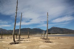 Η ξηρασία που παίρνει τη λαβή Theewaterskloof στοκ εικόνες Η ξηρασία που παίρνει τη λαβή Theewaterskloof στοκ εικόνες