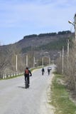 Η ομάδα νέων ποδηλατών οδηγεί κατά μήκος ενός δρόμου ασφάλτου στοκ εικόνα Η ομάδα νέων ποδηλατών οδηγεί κατά μήκος ενός δρόμου ασφάλτου στοκ εικόνα