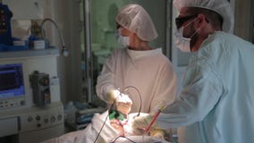 Η ομάδα των χειρούργων αφαιρεί τον όγκο καρκίνου Φωτοδυναμική θεραπεία μια θεραπεία για τον καρκίνο φιλμ μικρού μήκους Η ομάδα των χειρούργων αφαιρεί τον όγκο καρκίνου Φωτοδυναμική θεραπεία μια θεραπεία για τον καρκίνο φιλμ μικρού μήκους