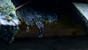Η πτώση μειώνεται από την παλαιά ξύλινη στέγη Πυροβολισμός με τη ζωντανή κάμερα στοκ εικόνες Η πτώση μειώνεται από την παλαιά ξύλινη στέγη Πυροβολισμός με τη ζωντανή κάμερα στοκ εικόνες