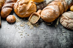 Η σειρά των τύπων φρέσκων ψωμιών με το σιτάρι στοκ φωτογραφίες Η σειρά των τύπων φρέσκων ψωμιών με το σιτάρι στοκ φωτογραφίες