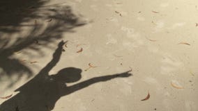 Η σκιά μιας γυναίκας στο καπέλο απεικόνισε στην άμμο στην παραλία απόθεμα βίντεο Η σκιά μιας γυναίκας στο καπέλο απεικόνισε στην άμμο στην παραλία απόθεμα βίντεο