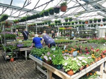 Η στάση εγκαταστάσεων, δρόμος Hempstead, Watford στοκ εικόνες Η στάση εγκαταστάσεων, δρόμος Hempstead, Watford στοκ εικόνες