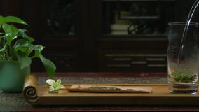 Η τελετή τσαγιού Η γυναίκα χύνει το ζεστό νερό teapot με το τσάι Teapot γυαλιού με το ανθίζοντας λουλούδι τσαγιού μέσα απόθεμα βίντεο Η τελετή τσαγιού Η γυναίκα χύνει το ζεστό νερό teapot με το τσάι Teapot γυαλιού με το ανθίζοντας λουλούδι τσαγιού μέσα απόθεμα βίντεο