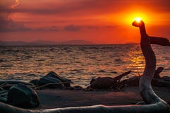 Ηλιοβασίλεμα σε μια αποβάθρα στις παραλίες των Καραϊβικών Θαλασσών στοκ εικόνες Ηλιοβασίλεμα σε μια αποβάθρα στις παραλίες των Καραϊβικών Θαλασσών στοκ εικόνες