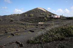 Ηφαιστειακό τοπίο στο νησί Lanzarote, Ισπανία στοκ φωτογραφία με δικαίωμα ελεύθερης χρήσης Ηφαιστειακό τοπίο στο νησί Lanzarote, Ισπανία στοκ φωτογραφία με δικαίωμα ελεύθερης χρήσης