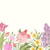 Θερινό floral εκλεκτής ποιότητας διανυσματικό υπόβαθρο ελεύθερη απεικόνιση δικαιώματος Θερινό floral εκλεκτής ποιότητας διανυσματικό υπόβαθρο ελεύθερη απεικόνιση δικαιώματος