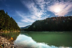 Θερινό τοπίο στον ποταμό Katun Altai, νότια Σιβηρία, RU στοκ εικόνες Θερινό τοπίο στον ποταμό Katun Altai, νότια Σιβηρία, RU στοκ εικόνες