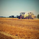 Θεριστικών μηχανών γεωργίας μηχανών τομέας καλαμποκιού συγκομιδής χρυσός ώριμος Τρακτέρ - σανός και άχυρο, παραδοσιακό θερινό υπό στοκ φωτογραφίες Θεριστικών μηχανών γεωργίας μηχανών τομέας καλαμποκιού συγκομιδής χρυσός ώριμος Τρακτέρ - σανός και άχυρο, παραδοσιακό θερινό υπό στοκ φωτογραφίες