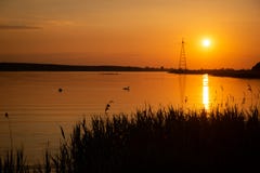 Θερμό πορτοκαλί ηλιοβασίλεμα στην όχθη της λίμνης, με τον ήλιο που απεικονίζει στο νερό Κύκνοι στο υπόβαθρο στοκ φωτογραφία με δικαίωμα ελεύθερης χρήσης Θερμό πορτοκαλί ηλιοβασίλεμα στην όχθη της λίμνης, με τον ήλιο που απεικονίζει στο νερό Κύκνοι στο υπόβαθρο στοκ φωτογραφία με δικαίωμα ελεύθερης χρήσης