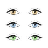 Θηλυκά μάτια γυναικών και brows σύνολο συλλογής εικόνας Σχέδιο ματιών κοριτσιών μόδας επίσης corel σύρετε το διάνυσμα απεικόνισης διανυσματική απεικόνιση Θηλυκά μάτια γυναικών και brows σύνολο συλλογής εικόνας Σχέδιο ματιών κοριτσιών μόδας επίσης corel σύρετε το διάνυσμα απεικόνισης διανυσματική απεικόνιση