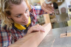 Θηλυκός ξυλουργός που εργάζεται στο woodboard στοκ εικόνα Θηλυκός ξυλουργός που εργάζεται στο woodboard στοκ εικόνα
