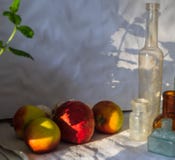 Θολωμένα κόκκινα κίτρινα μήλα, κόκκινο ρόδι, φύλλο μεντών και εκλεκτής ποιότητας μπουκάλια στον ήλιο με τις σκιές o στοκ φωτογραφία Θολωμένα κόκκινα κίτρινα μήλα, κόκκινο ρόδι, φύλλο μεντών και εκλεκτής ποιότητας μπουκάλια στον ήλιο με τις σκιές o στοκ φωτογραφία