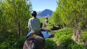Ιππασία σε Glenorchy, Νέα Ζηλανδία στοκ εικόνα με δικαίωμα ελεύθερης χρήσης Ιππασία σε Glenorchy, Νέα Ζηλανδία στοκ εικόνα με δικαίωμα ελεύθερης χρήσης