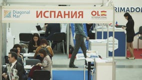Ισπανική αντιπροσωπεία κτημάτων απόθεμα βίντεο Ισπανική αντιπροσωπεία κτημάτων απόθεμα βίντεο