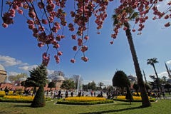 Ιστανμπούλ, σουλτάνος Ahmet/Τουρκία 19 04 2019: Χρόνος άνοιξη στην πλατεία Ahmet στοκ φωτογραφίες Ιστανμπούλ, σουλτάνος Ahmet/Τουρκία 19 04 2019: Χρόνος άνοιξη στην πλατεία Ahmet στοκ φωτογραφίες