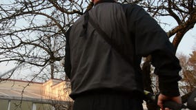 Κλάδος οπωρωφόρων δέντρων περιποίησης πριονιών κηπουρών με το ειδικό εργαλείο την άνοιξη απόθεμα βίντεο Κλάδος οπωρωφόρων δέντρων περιποίησης πριονιών κηπουρών με το ειδικό εργαλείο την άνοιξη απόθεμα βίντεο