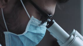 Κλείστε επάνω την άποψη του ματιού επιστημόνων φιλμ μικρού μήκους Κλείστε επάνω την άποψη του ματιού επιστημόνων φιλμ μικρού μήκους