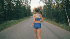 Κλείστε επάνω το παπούτσι και τα πόδια του jogger Πίσω πλάγια όψη ενός θηλυκού αθλητή που εκπαιδεύει έξω στο δρόμο στο πάρκο απόθεμα βίντεο Κλείστε επάνω το παπούτσι και τα πόδια του jogger Πίσω πλάγια όψη ενός θηλυκού αθλητή που εκπαιδεύει έξω στο δρόμο στο πάρκο απόθεμα βίντεο