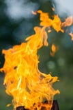 Κάψιμο πυρκαγιάς στην οδό Αλλαντίδια τύπου Φρανκφούρτης σχαρών στοκ φωτογραφία Κάψιμο πυρκαγιάς στην οδό Αλλαντίδια τύπου Φρανκφούρτης σχαρών στοκ φωτογραφία