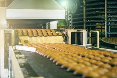 Κέικ στην αυτόματη ζώνη μεταφορέων ή τη γραμμή, τη διαδικασία στο μαγειρικό εργοστάσιο βιομηχανιών ζαχαρωδών προϊόντων ή τις εγκα στοκ εικόνες Κέικ στην αυτόματη ζώνη μεταφορέων ή τη γραμμή, τη διαδικασία στο μαγειρικό εργοστάσιο βιομηχανιών ζαχαρωδών προϊόντων ή τις εγκα στοκ εικόνες