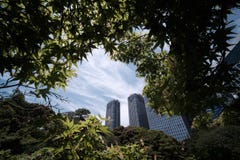 κήποι hamarikyu στοκ φωτογραφία με δικαίωμα ελεύθερης χρήσης κήποι hamarikyu στοκ φωτογραφία με δικαίωμα ελεύθερης χρήσης