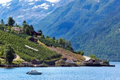 Κήποι φρούτων στις ακτές του φιορδ Hardanger, Νορβηγία στοκ φωτογραφίες με δικαίωμα ελεύθερης χρήσης Κήποι φρούτων στις ακτές του φιορδ Hardanger, Νορβηγία στοκ φωτογραφίες με δικαίωμα ελεύθερης χρήσης