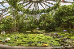 Κήπος tete δ ή Parc de Λα Tete δ ` ή στη Λυών, Γαλλία κήπος που ονομάζεται από το χρυσό κεφάλι για το tresor Πάρκο του χρυσού κεφ στοκ φωτογραφία Κήπος tete δ ή Parc de Λα Tete δ ` ή στη Λυών, Γαλλία κήπος που ονομάζεται από το χρυσό κεφάλι για το tresor Πάρκο του χρυσού κεφ στοκ φωτογραφία