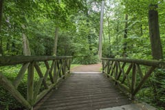 Κήπος tete δ ή Parc de Λα Tete δ ` ή στη Λυών, Γαλλία κήπος που ονομάζεται από το χρυσό κεφάλι για το tresor Πάρκο του χρυσού κεφ στοκ εικόνα Κήπος tete δ ή Parc de Λα Tete δ ` ή στη Λυών, Γαλλία κήπος που ονομάζεται από το χρυσό κεφάλι για το tresor Πάρκο του χρυσού κεφ στοκ εικόνα