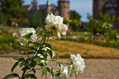 Κήπος του de Haar Castle στοκ εικόνα με δικαίωμα ελεύθερης χρήσης Κήπος του de Haar Castle στοκ εικόνα με δικαίωμα ελεύθερης χρήσης