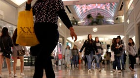 Κίνηση θαμπάδων των αγορών ανθρώπων απόθεμα βίντεο Κίνηση θαμπάδων των αγορών ανθρώπων απόθεμα βίντεο