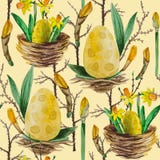 Κίτρινα daffodils σχεδίων Watercolor άνευ ραφής απεικόνιση αποθεμάτων Κίτρινα daffodils σχεδίων Watercolor άνευ ραφής απεικόνιση αποθεμάτων