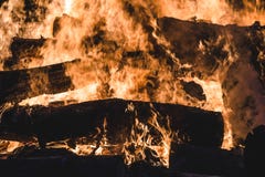 Καίγοντας δέντρα φωτιών τη νύχτα Μεγάλη πορτοκαλιά φλόγα σε ένα μαύρο υπόβαθρο μαύρη πυρκαγιά Λαμπρά, θερμότητα, φως, που στρατοπ στοκ φωτογραφία με δικαίωμα ελεύθερης χρήσης Καίγοντας δέντρα φωτιών τη νύχτα Μεγάλη πορτοκαλιά φλόγα σε ένα μαύρο υπόβαθρο μαύρη πυρκαγιά Λαμπρά, θερμότητα, φως, που στρατοπ στοκ φωτογραφία με δικαίωμα ελεύθερης χρήσης