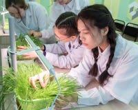 2019-09-01, Καζακστάν, Kostanay hydroponics Σχολικό εργαστήριο Μαθήτριες σε ένα άσπρο παλτό στην κατηγορία βοτανικής growing στοκ εικόνες με δικαίωμα ελεύθερης χρήσης 2019-09-01, Καζακστάν, Kostanay hydroponics Σχολικό εργαστήριο Μαθήτριες σε ένα άσπρο παλτό στην κατηγορία βοτανικής growing στοκ εικόνες με δικαίωμα ελεύθερης χρήσης